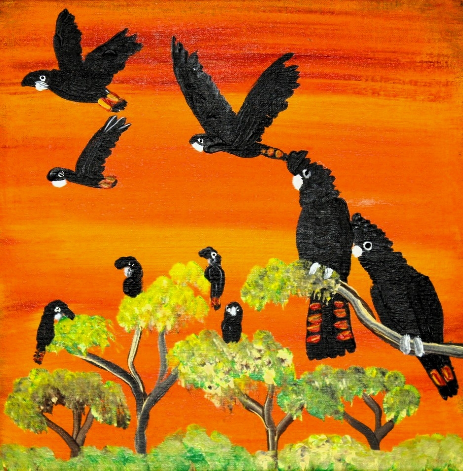 Red Tailed Black Cockatoos