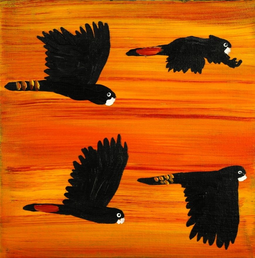 Red Tailed Black Cockatoos