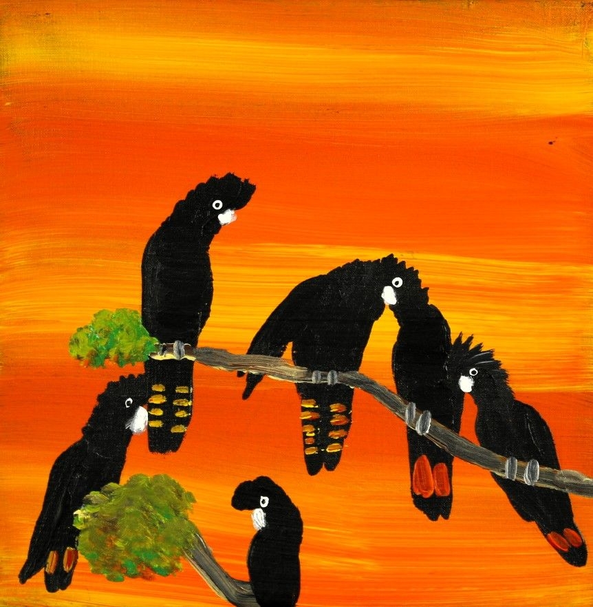Red Tailed Black Cockatoos