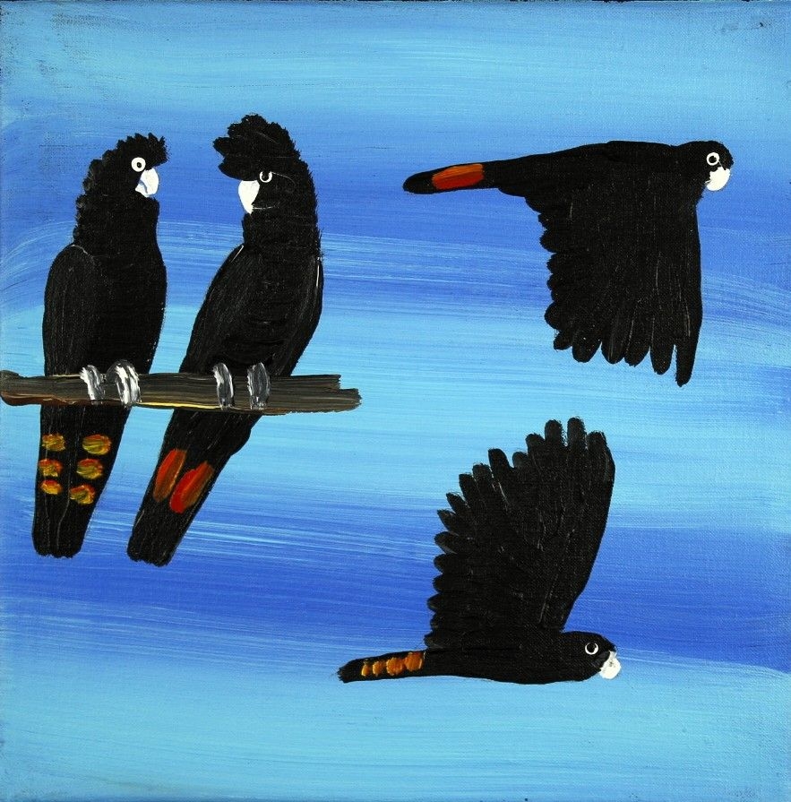 Red Tailed Black Cockatoos