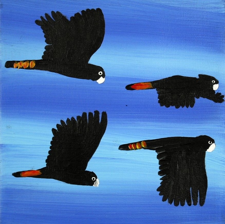 Red Tailed Black Cockatoos