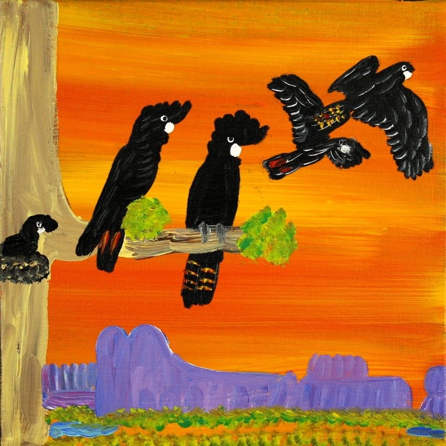 Red Tailed Black Cockatoos