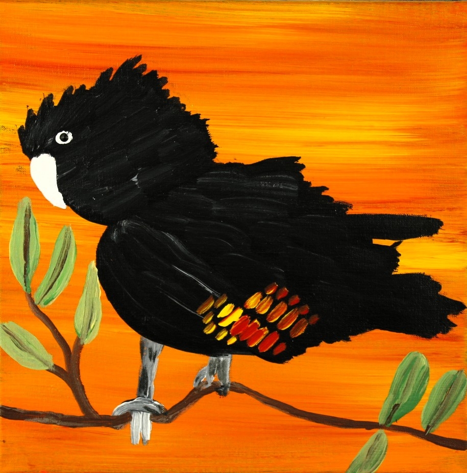 Red Tailed Black Cockatoos