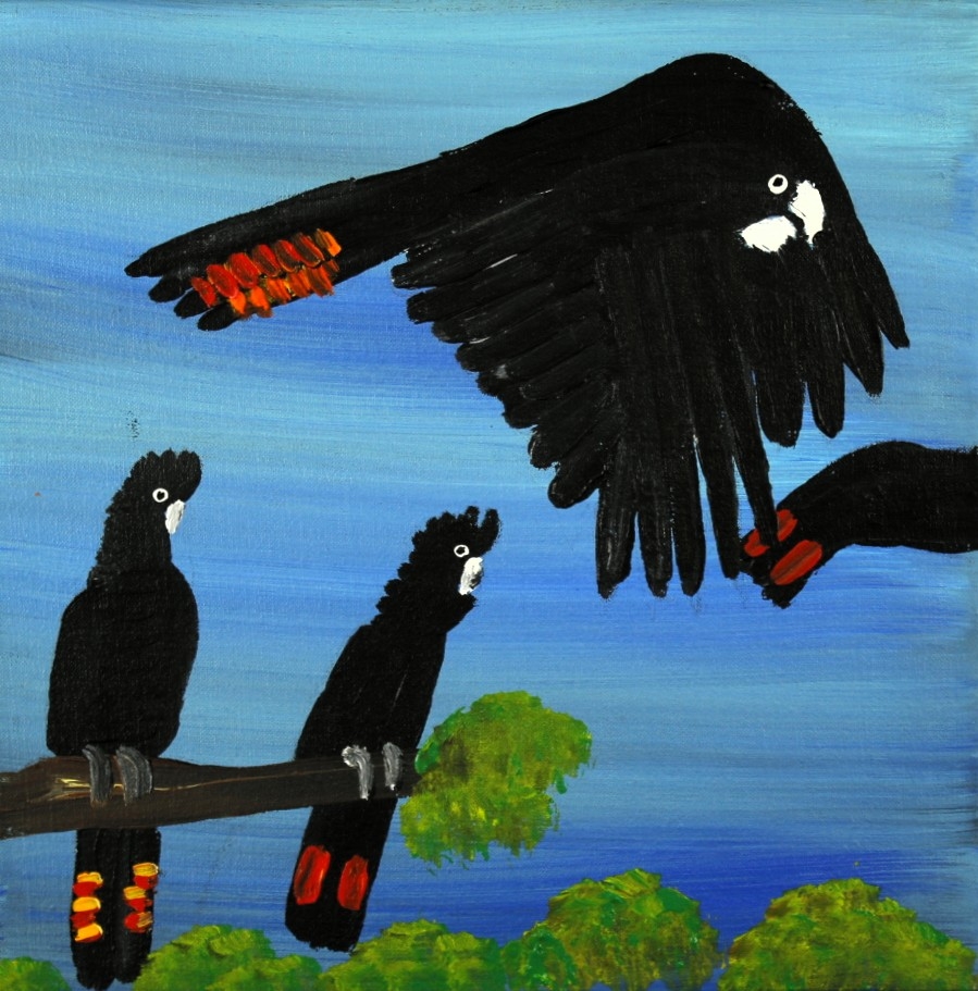 Red Tailed Black Cockatoos