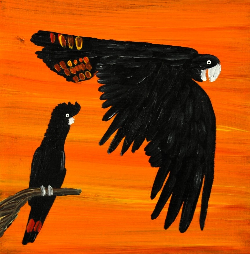 Red Tailed Black Cockatoos