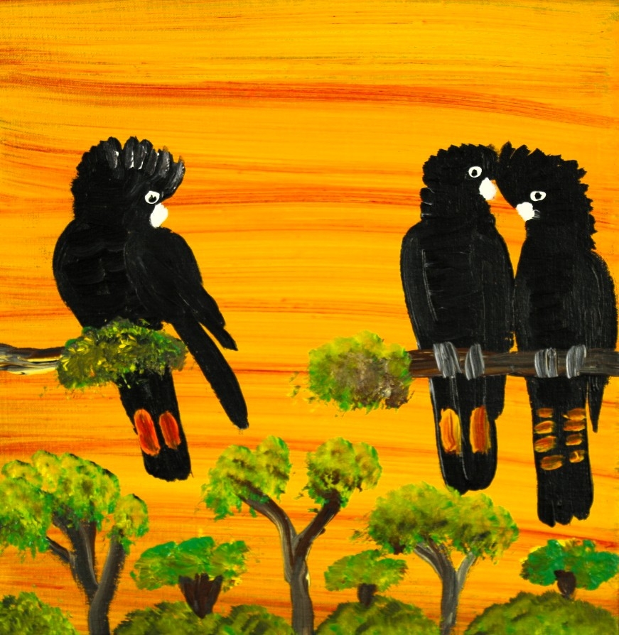 Red Tailed Black Cockatoos