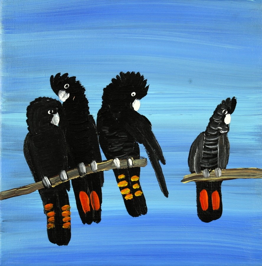 Red Tailed Black Cockatoos