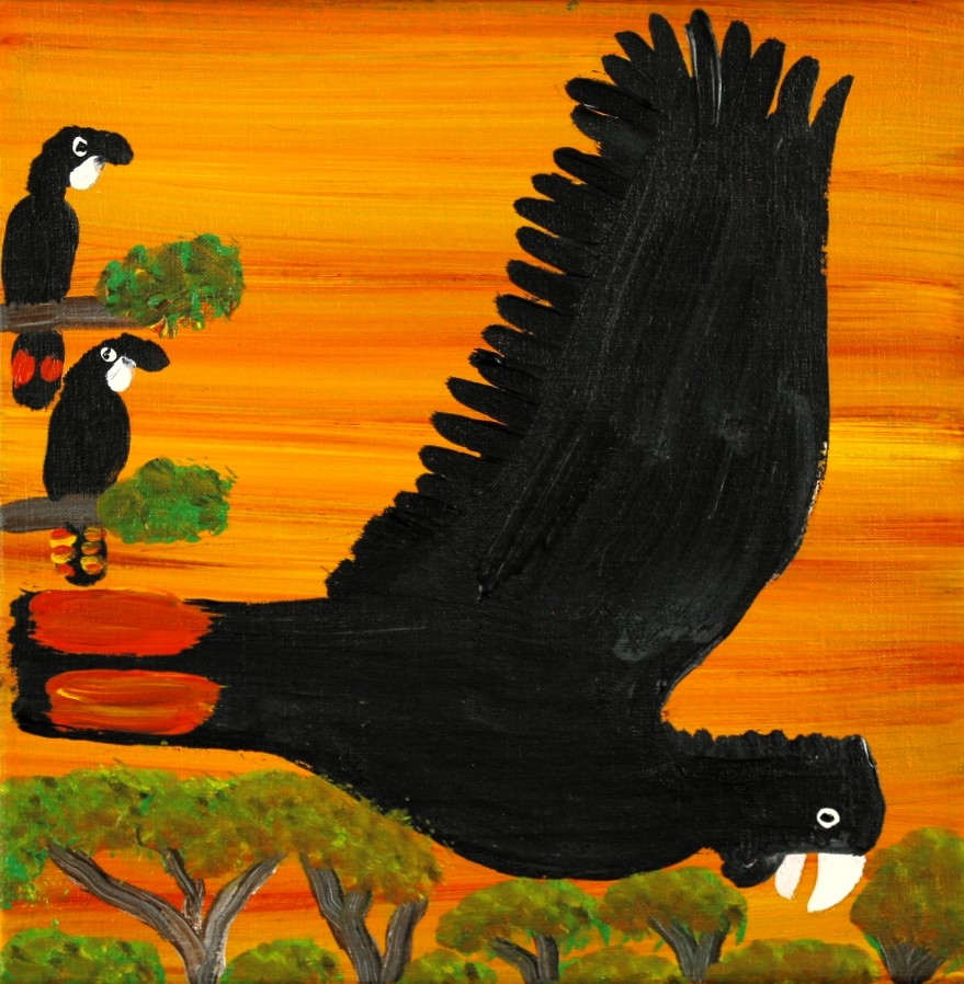 Red Tailed Black Cockatoos