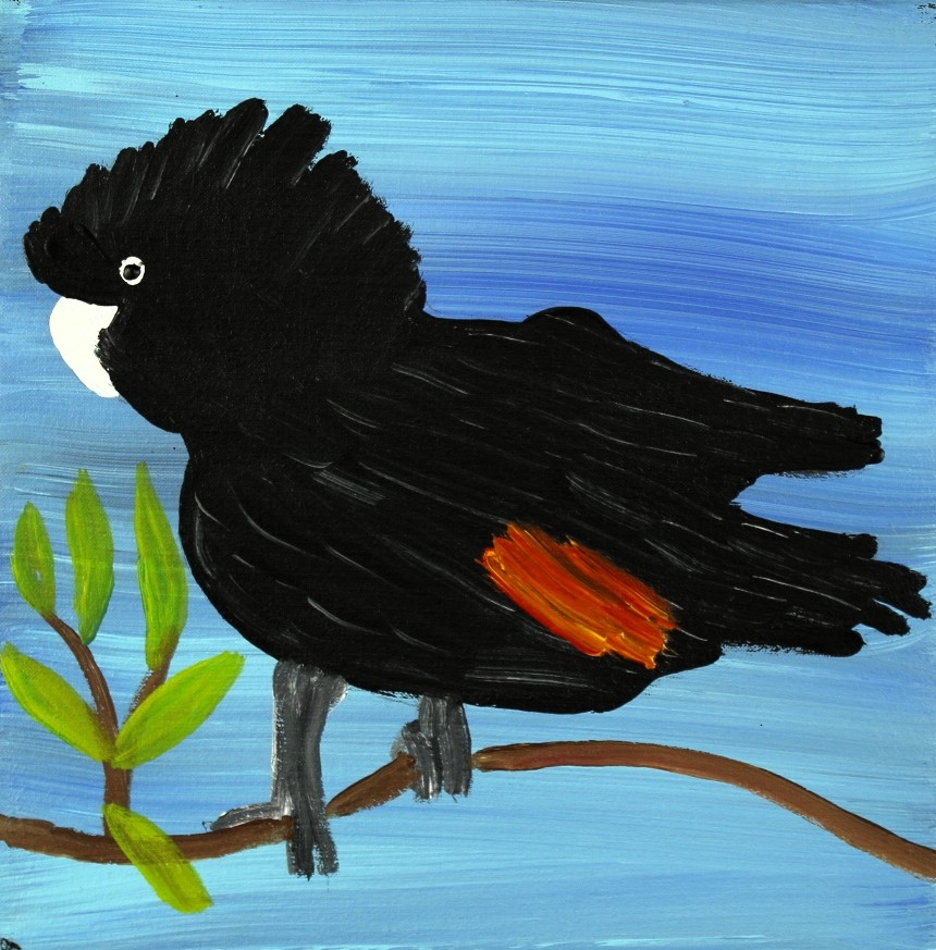 Red Tailed Black Cockatoos