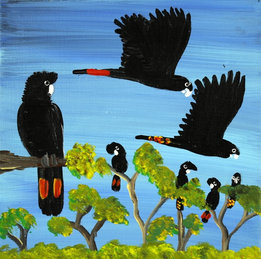 Red Tailed Black Cockatoos