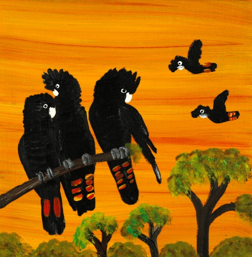 Red Tailed Black Cockatoos