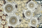 Budgerigar Dreaming