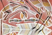 Billabong Dreaming