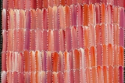 Anaty- Desert Yam