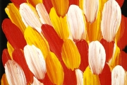 Bush Medicine Leaf