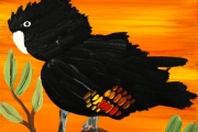Red Tailed Black Cockatoos