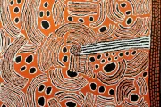 Women's Ceremony associated with the blue tongue lizard dreaming